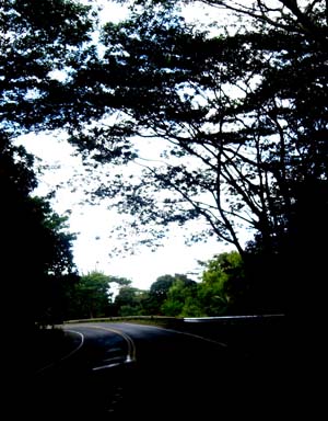 Road in Kauai